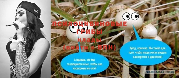 спиды Арсеньев