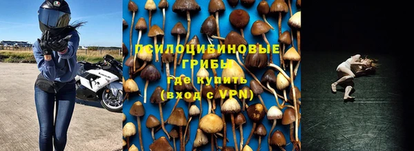 гашиш Аркадак
