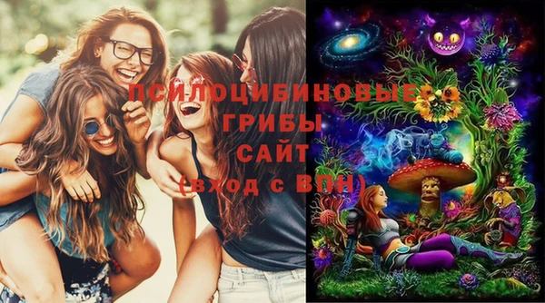 ГАЛЛЮЦИНОГЕННЫЕ ГРИБЫ Дмитров